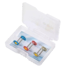 کیت دیسک خورشیدی پرداخت پرسلن Zt Dental