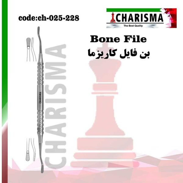 بن فایل هالو کاریزما