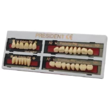 دندان مصنوعی president رنگ A1 - خرید و قیمت ابزار دندانپزشکی - ابزار پروتز - فروشگاه تجهیزات دندانپزشکی تهران دنت